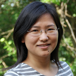 Yingfei Wang, Ph.D.